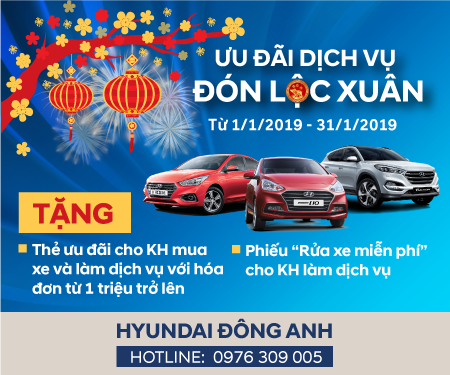 ƯU ĐÃI DỊCH VỤ - ĐÓN LỘC XUÂN